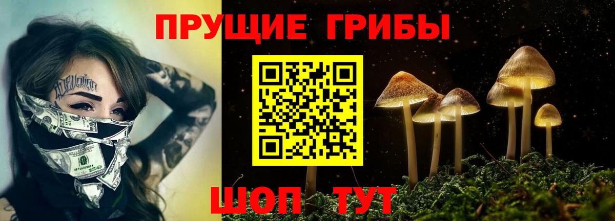 Псилоцибиновые грибы GOLDEN TEACHER  Вход с VPN  Губкин 